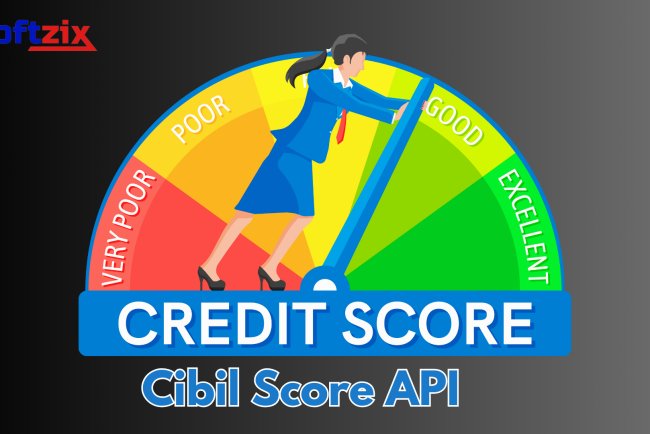 Softzix CIBIL Verification API: The Smart Way to Check Credit Scores