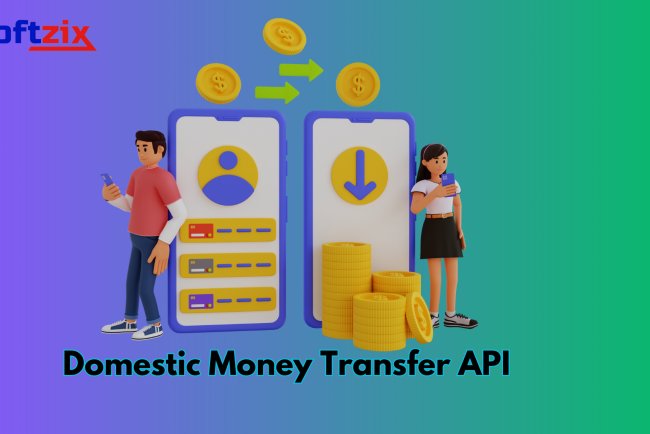 Simplify Transactions with Softzix Domestic Money Transfer API