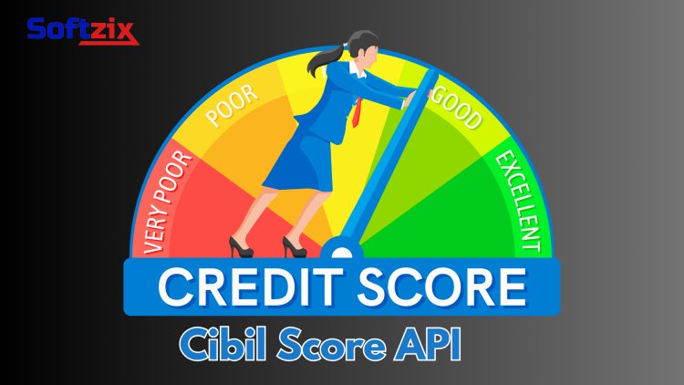 Softzix CIBIL Verification API: The Smart Way to Check Credit Scores
