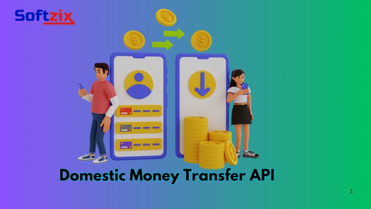 Simplify Transactions with Softzix Domestic Money Transfer API