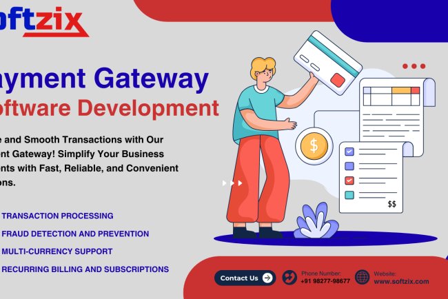 Why Businesses Need a Payment Gateway Software for Hassle-free Transactions
